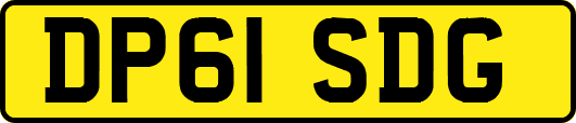 DP61SDG
