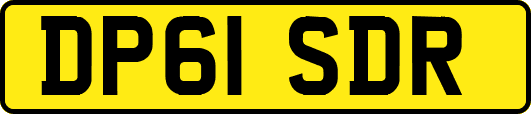 DP61SDR