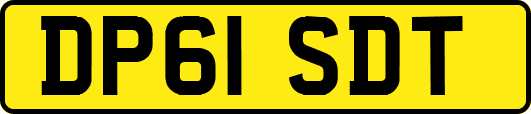 DP61SDT