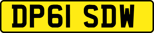 DP61SDW