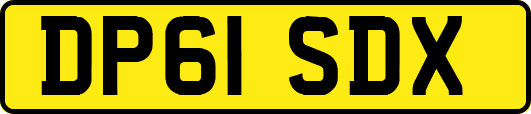 DP61SDX