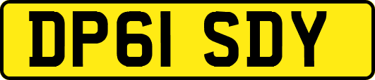 DP61SDY