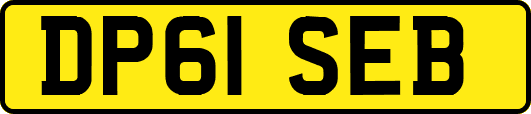 DP61SEB