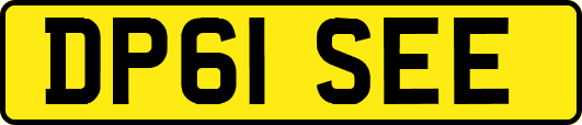 DP61SEE