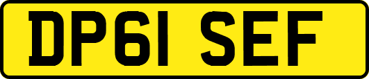 DP61SEF
