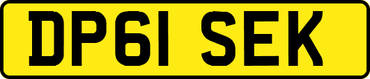 DP61SEK