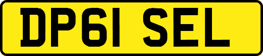 DP61SEL
