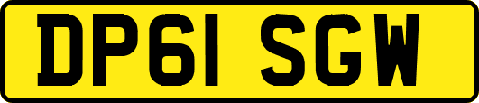 DP61SGW