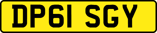 DP61SGY