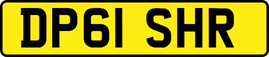 DP61SHR
