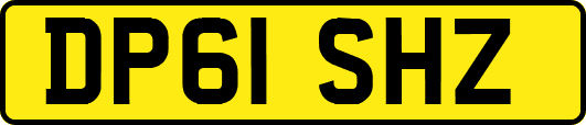 DP61SHZ