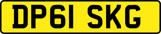DP61SKG