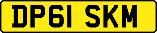 DP61SKM