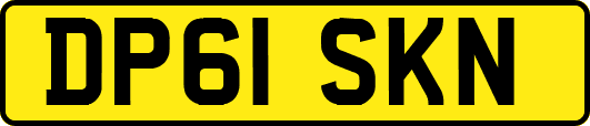 DP61SKN
