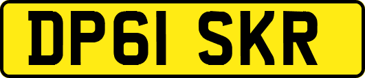 DP61SKR