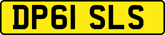 DP61SLS