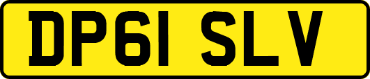 DP61SLV