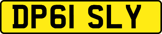 DP61SLY