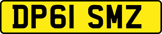 DP61SMZ