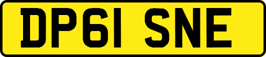 DP61SNE