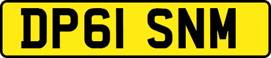 DP61SNM