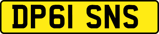 DP61SNS