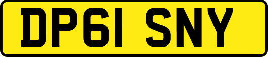 DP61SNY