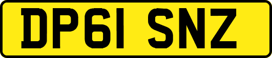 DP61SNZ