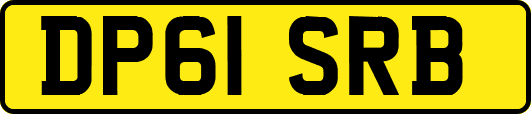 DP61SRB