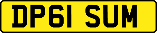 DP61SUM