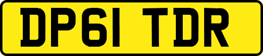 DP61TDR