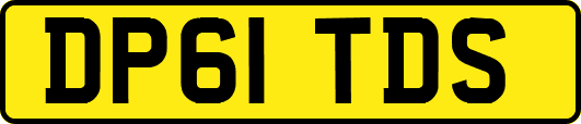 DP61TDS