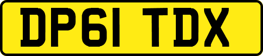 DP61TDX