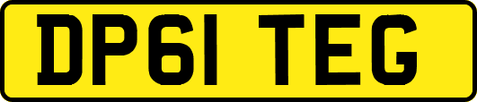 DP61TEG