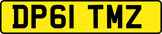 DP61TMZ