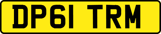 DP61TRM