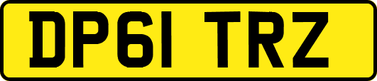 DP61TRZ