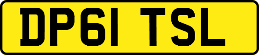 DP61TSL