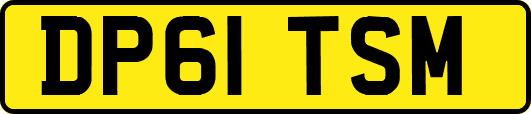 DP61TSM