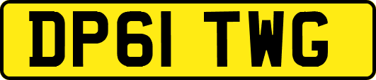 DP61TWG