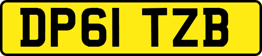 DP61TZB