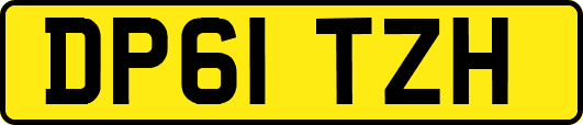 DP61TZH