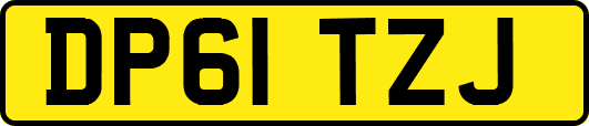 DP61TZJ