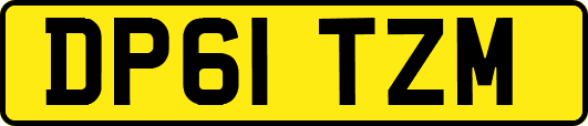 DP61TZM