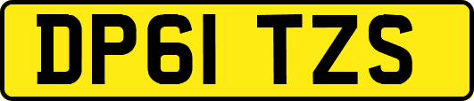 DP61TZS