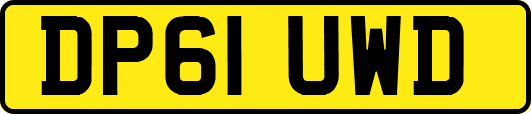 DP61UWD