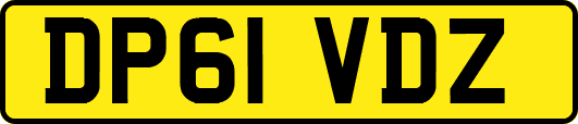 DP61VDZ
