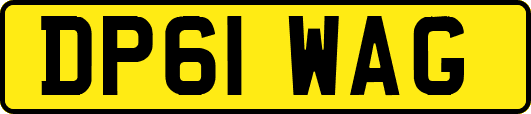 DP61WAG