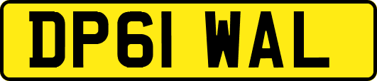 DP61WAL