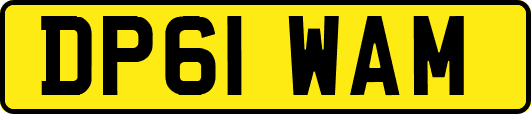 DP61WAM